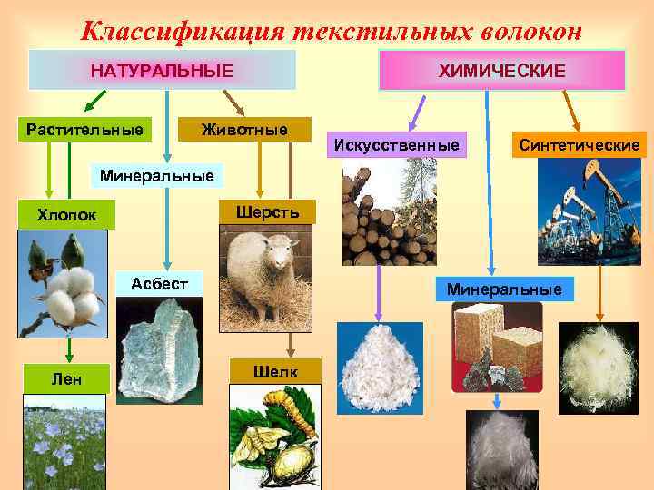 Классификация текстильных волокон НАТУРАЛЬНЫЕ Растительные ХИМИЧЕСКИЕ Животные Искусственные Синтетические Минеральные Шерсть Хлопок Асбест Лен