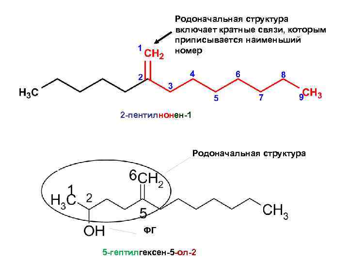 Родоначальная структура включает кратные связи, которым приписывается наименьший номер 2 -пентилнонен-1 Родоначальная структура ФГ