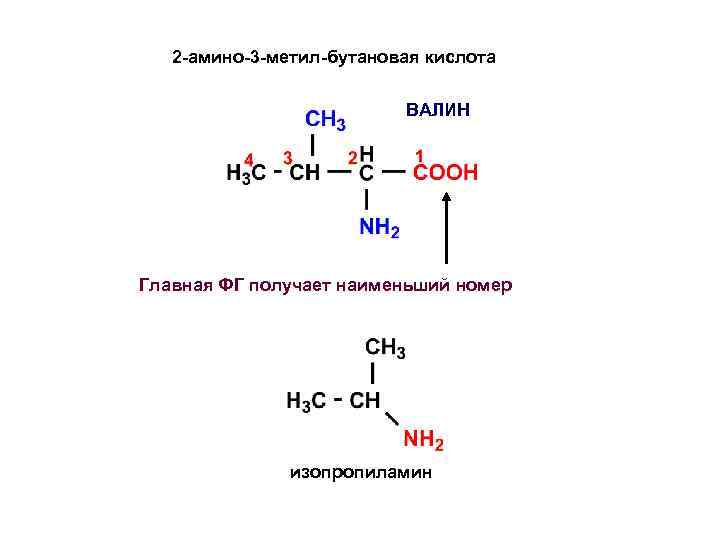 1 4 бутановая кислота