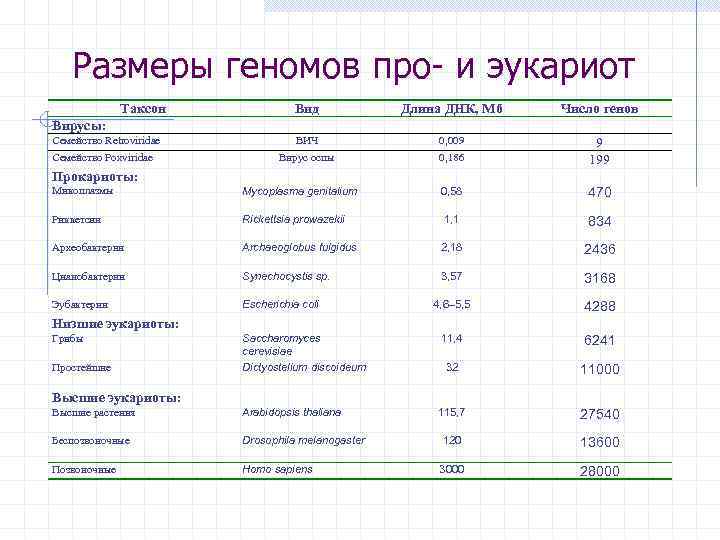 Размеры геномов про- и эукариот Таксон Вид Длина ДНК, Мб Число генов ВИЧ 0,