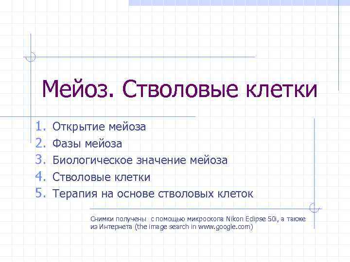 Мейоз. Стволовые клетки 1. 2. 3. 4. 5. Открытие мейоза Фазы мейоза Биологическое значение