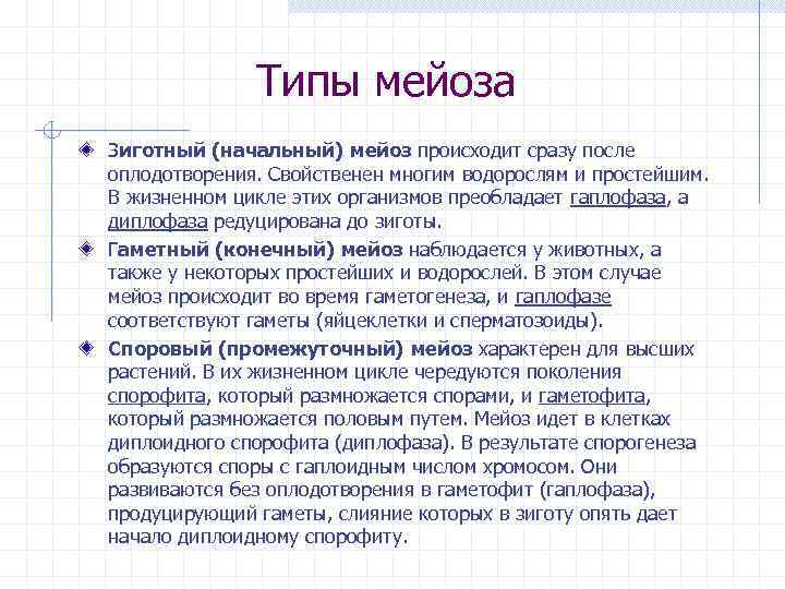 Типы мейоза Зиготный (начальный) мейоз происходит сразу после оплодотворения. Свойственен многим водорослям и простейшим.