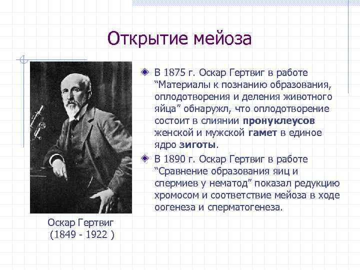 Открытие мейоза В 1875 г. Оскар Гертвиг в работе “Материалы к познанию образования, оплодотворения