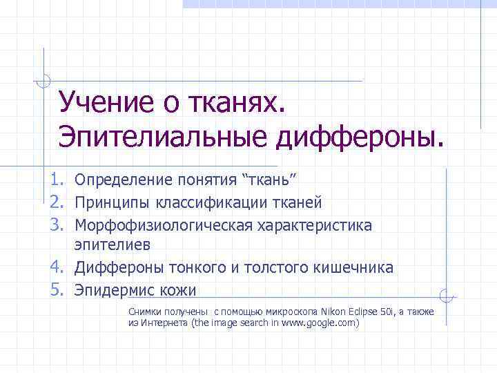 Учение о тканях. Эпителиальные диффероны. 1. Определение понятия “ткань” 2. Принципы классификации тканей 3.