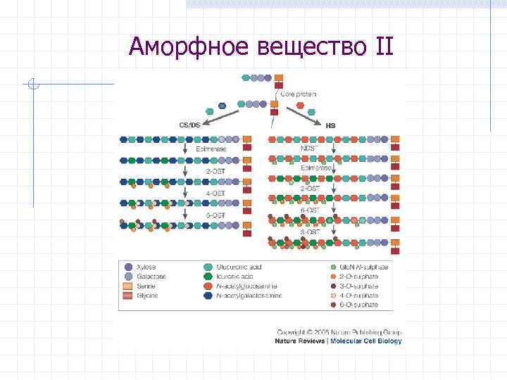 Аморфное вещество II 