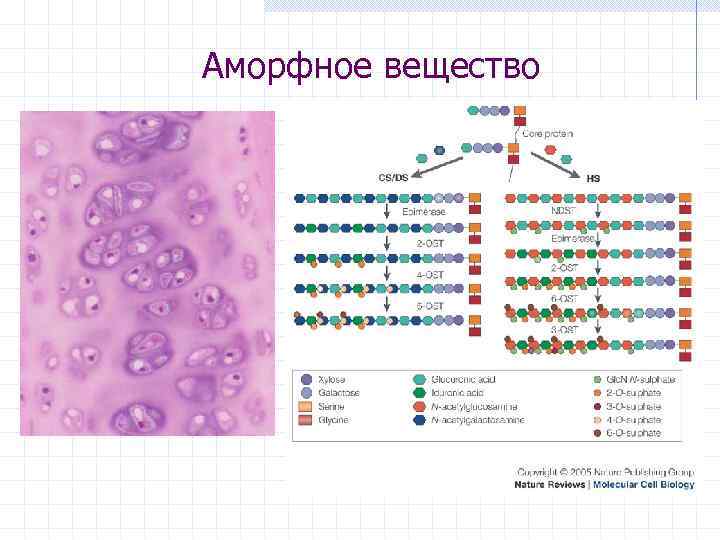 Аморфное вещество 