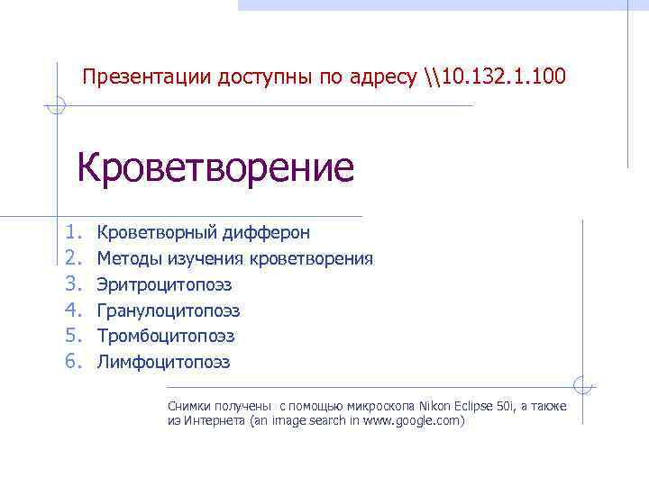 Презентации доступны по адресу \10. 132. 1. 100 Кроветворение 1. 2. 3. 4. 5.