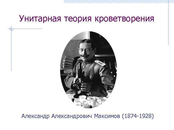 Унитарная теория кроветворения Александрович Максимов (1874 -1928) 