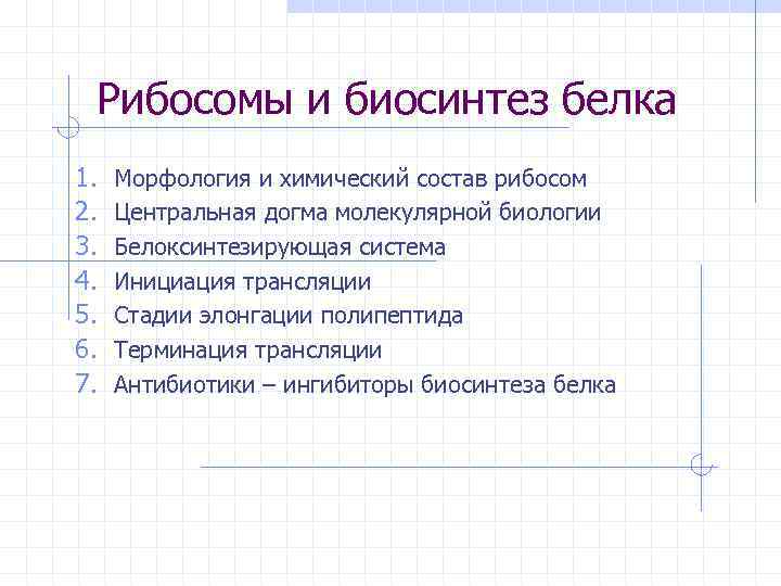 Рибосомы и биосинтез белка 1. 2. 3. 4. 5. 6. 7. Морфология и химический