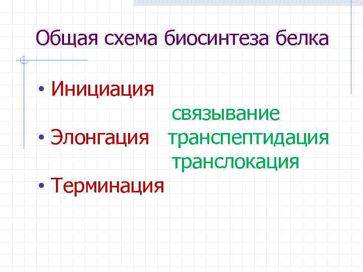 Общая схема биосинтеза белка • Инициация связывание • Элонгация транспептидация транслокация • Терминация 