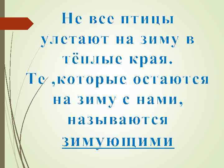 Не все птицы улетают на зиму в тёплые края. Те , которые остаются на