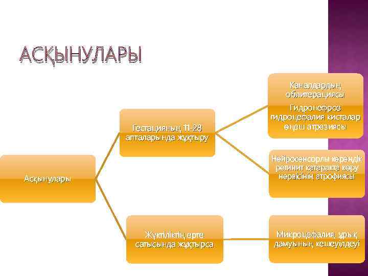 АСҚЫНУЛАРЫ Гестацияның 11 -28 апталарында жұқтыру Каналдардың облитерациясы Гидронефроз гидроцефалия кисталар өңеш атрезиясы Нейросенсорлы