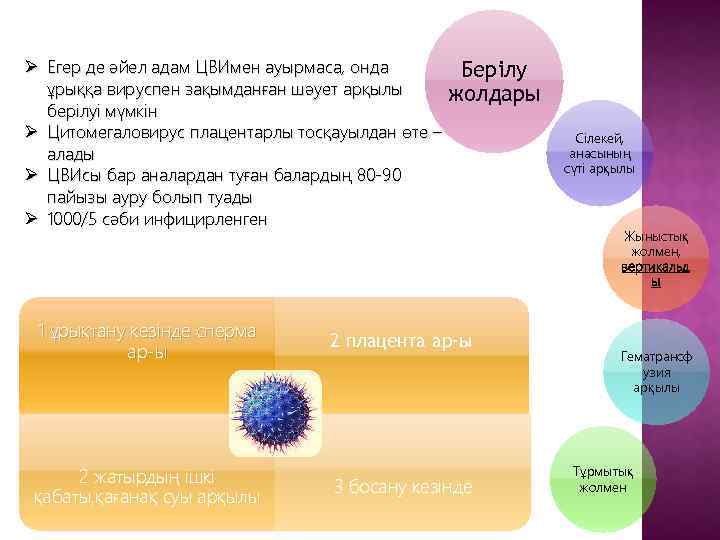 Ø Егер де әйел адам ЦВИмен ауырмаса, онда Берілу ұрыққа вируспен зақымданған шәует арқылы