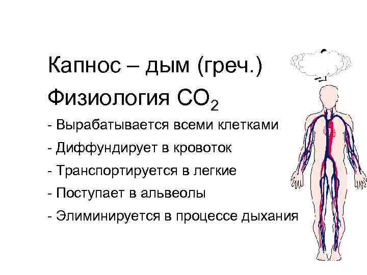 Капнос – дым (греч. ) Физиология CO 2 - Вырабатывается всеми клетками - Диффундирует
