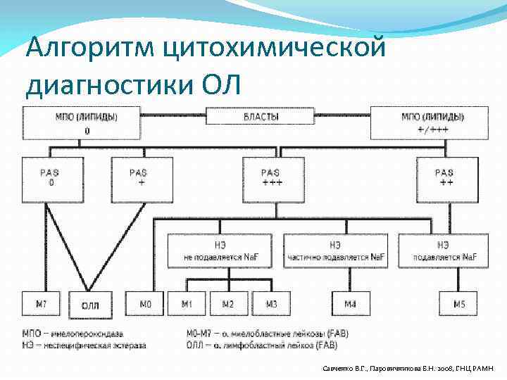 Алгоритм цитохимической диагностики ОЛ Савченко В. Г. , Паровичникова Е. Н. 2008, ГНЦ РАМН