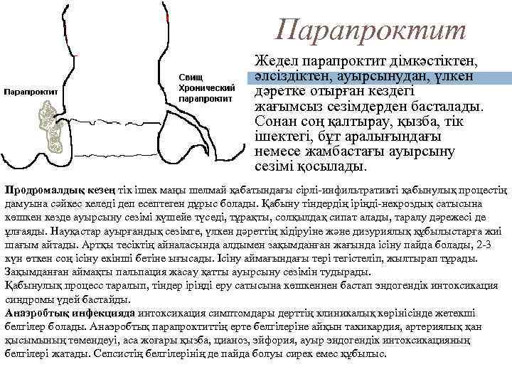 Парапроктит Жедел парапроктит дімкәстіктен, әлсіздіктен, ауырсынудан, үлкен дәретке отырған кездегі жағымсыз сезімдерден басталады. Сонан
