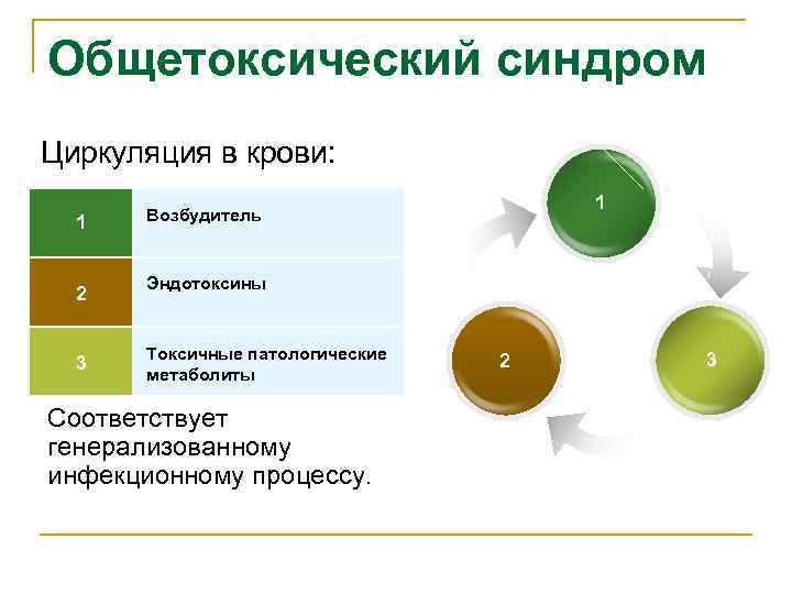Общетоксический синдром Циркуляция в крови: 1 2 3 1 Возбудитель Эндотоксины Токсичные патологические метаболиты
