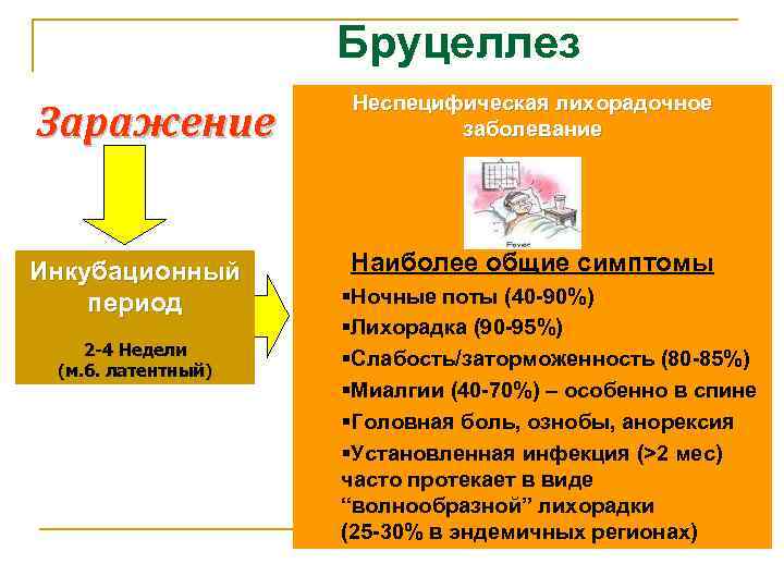 Бруцеллез Заражение Неспецифическая лихорадочное заболевание Инкубационный период 2 -4 Недели (м. б. латентный) Наиболее
