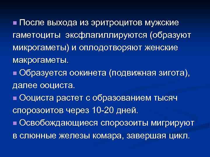 n После выхода из эритроцитов мужские гаметоциты эксфлагиллируются (образуют микрогаметы) и оплодотворяют женские макрогаметы.