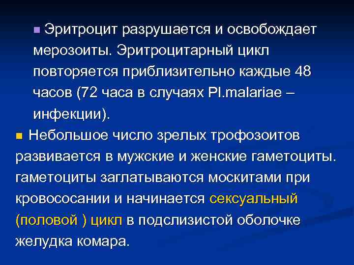 n Эритроцит разрушается и освобождает мерозоиты. Эритроцитарный цикл повторяется приблизительно каждые 48 часов (72