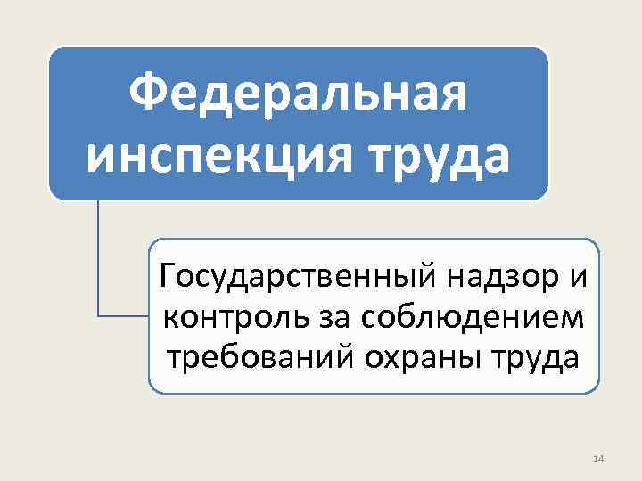 Федеральная инспекция труда Государственный надзор и контроль за соблюдением требований охраны труда 14 
