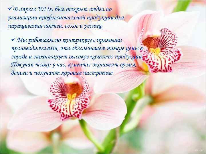 üВ апреле 2011 г. был открыт отдел по реализации профессиональной продукции для наращивания ногтей,