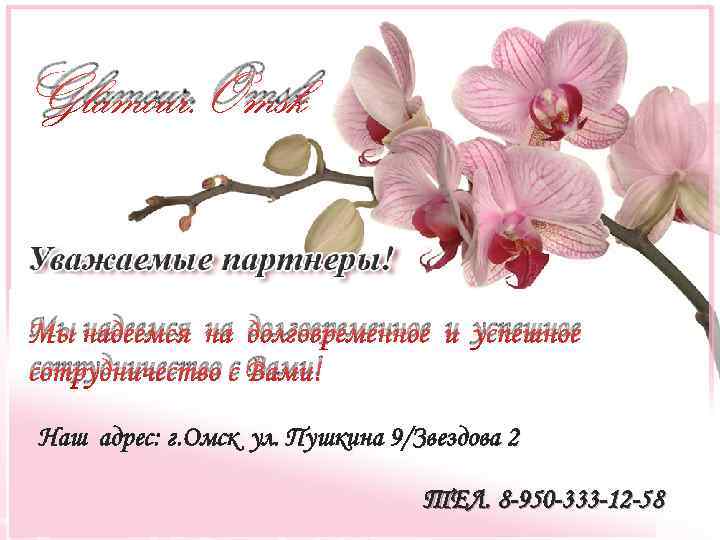 Glamour. Omsk Мы надеемся на долговременное и успешное сотрудничество с Вами! Наш адрес: г.