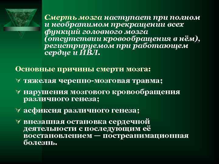 Смерть мозга наступает при полном и необратимом прекращении всех функций головного мозга (отсутствии кровообращения