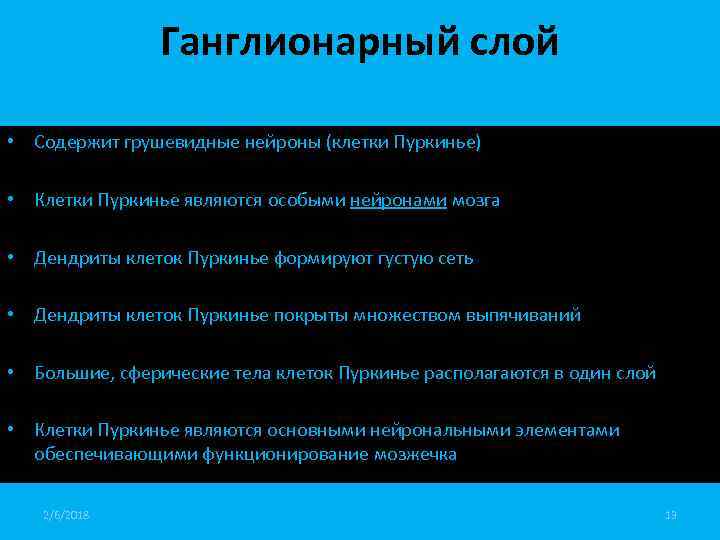 Ганглионарный слой • Содержит грушевидные нейроны (клетки Пуркинье) • Клетки Пуркинье являются особыми нейронами