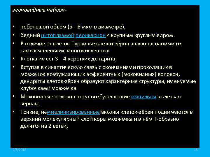 зерновидные нейрон- • небольшой объём (5— 8 мкм в диаметре), • бедный цитоплазмой перикарион