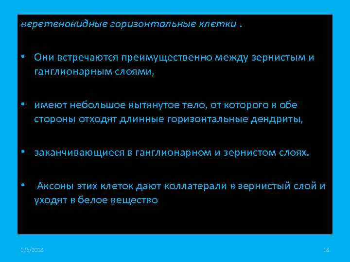 веретеновидные горизонтальные клетки. • Они встречаются преимущественно между зернистым и ганглионарным слоями, • имеют