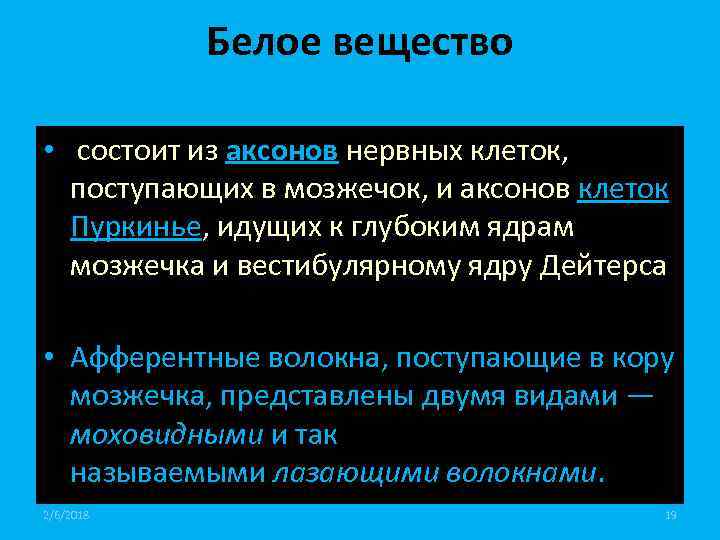 Белое вещество • состоит из аксонов нервных клеток, поступающих в мозжечок, и аксонов клеток