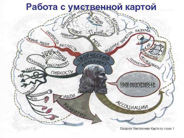 Работа с умственной картой 