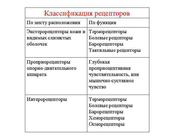 Функции рецепторов. Рецепторы экстерорецепторы интерорецепторы. Классификация рецепторов по рецепторному аппарату. Классификация интерорецепторов физиология. Классификация рецепторов по месту их локализации таблица.