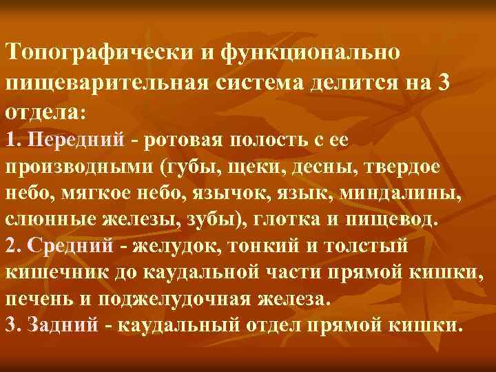 Топографически и функционально пищеварительная система делится на 3 отдела: 1. Передний - ротовая полость