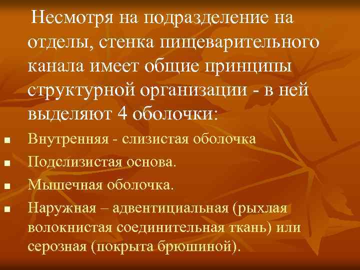  Несмотря на подразделение на отделы, стенка пищеварительного канала имеет общие принципы структурной организации