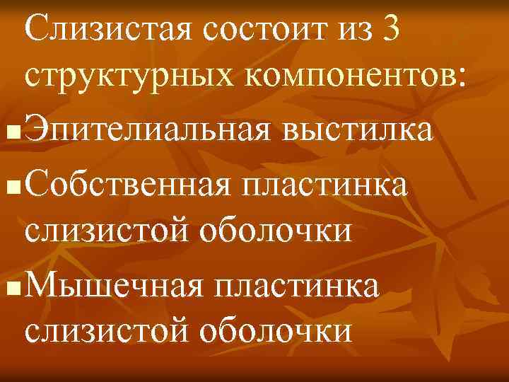  Слизистая состоит из 3 структурных компонентов: n Эпителиальная выстилка n Собственная пластинка слизистой