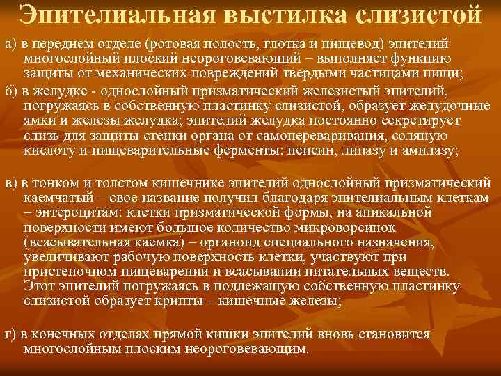 Эпителиальная выстилка слизистой а) в переднем отделе (ротовая полость, глотка и пищевод) эпителий многослойный