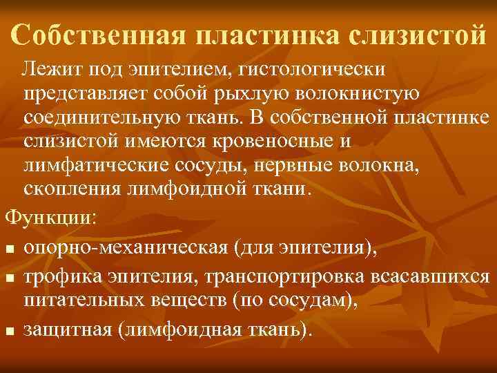 Собственная пластинка слизистой Лежит под эпителием, гистологически представляет собой рыхлую волокнистую соединительную ткань. В