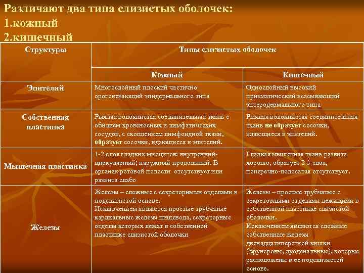 Различают два типа слизистых оболочек: 1. кожный 2. кишечный Структуры Типы слизистых оболочек Кожный