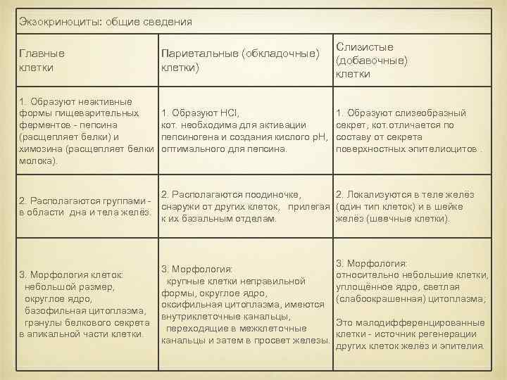 Экзокриноциты: общие сведения Главные клетки Париетальные (обкладочные) клетки) Слизистые (добавочные) клетки 1. Образуют неактивные