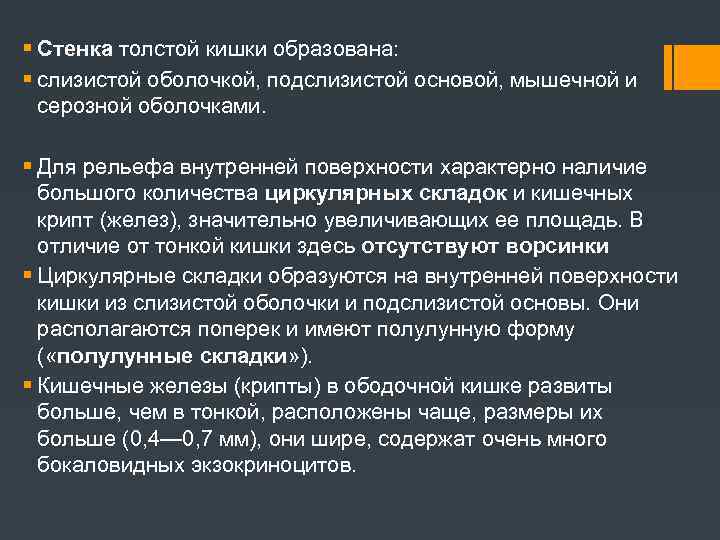  Стенка толстой кишки образована: слизистой оболочкой, подслизистой основой, мышечной и серозной оболочками. Для