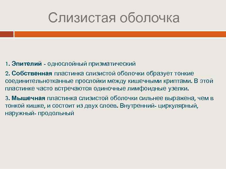 Слизистая оболочка 1. Эпителий - однослойный призматический 2. Собственная пластинка слизистой оболочки образует тонкие