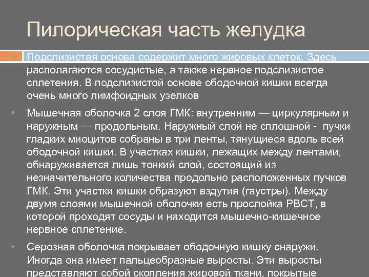 Пилорическая часть желудка • Подслизистая основа содержит много жировых клеток. Здесь располагаются сосудистые, а