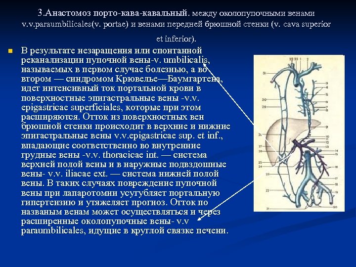 Схема портокавальных анастомозов