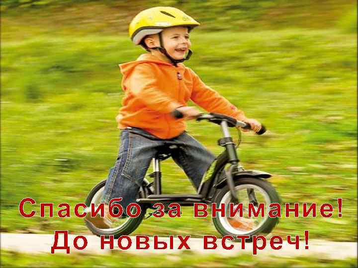 Спасибо за внимание! До новых встреч! 