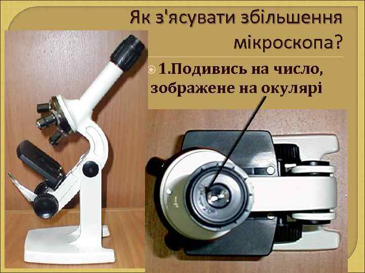 Як з'ясувати збільшення мікроскопа? 1. Подивись на число, зображене на окулярі 