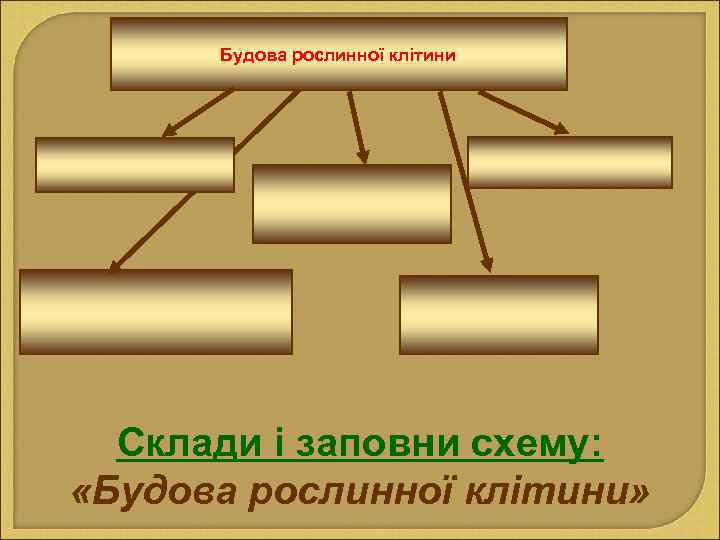 Будова рослинної клітини Склади і заповни схему: «Будова рослинної клітини» 