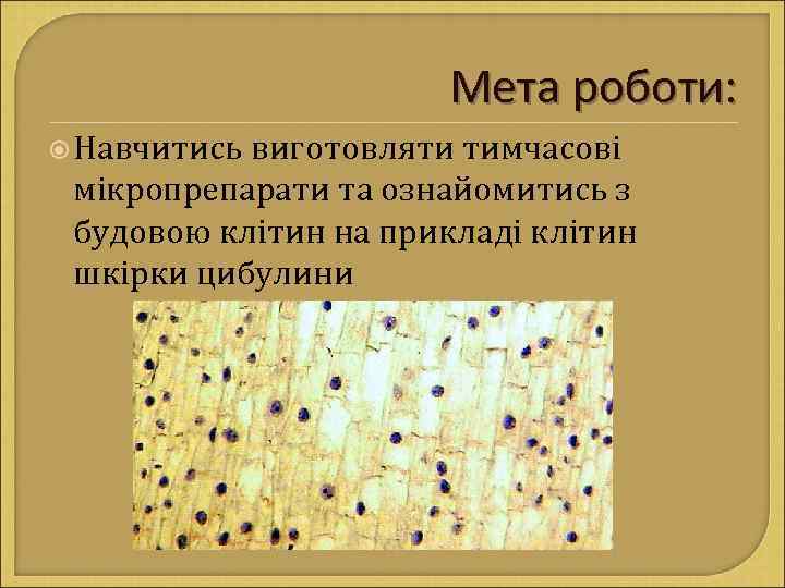 Мета роботи: Навчитись виготовляти тимчасові мікропрепарати та ознайомитись з будовою клітин на прикладі клітин