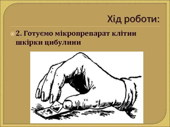 Хід роботи: 2. Готуємо мікропрепарат клітин шкірки цибулини 